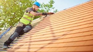 Best Rubber Roofing (EPDM, TPO)  in Fish Hawk, FL