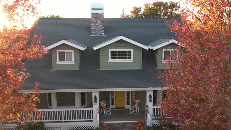 Best Roof Moss and Algae Removal  in Fish Hawk, FL