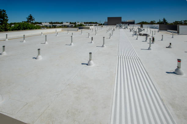 Professional Roofing Service in Fish Hawk, FL